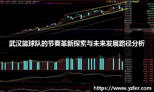武汉篮球队的节奏革新探索与未来发展路径分析