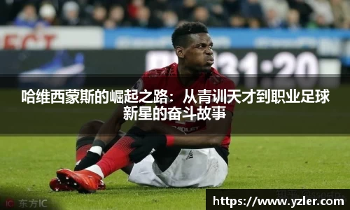 yy易游体育