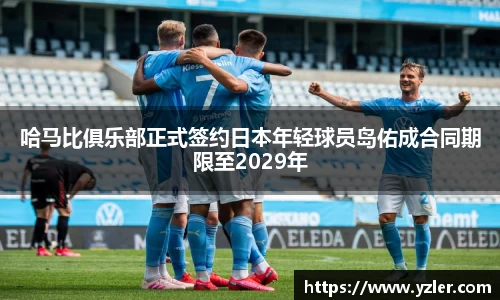 yy易游