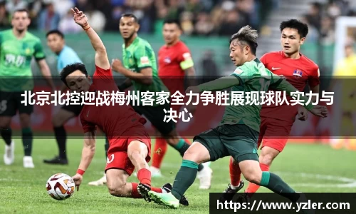 yy易游